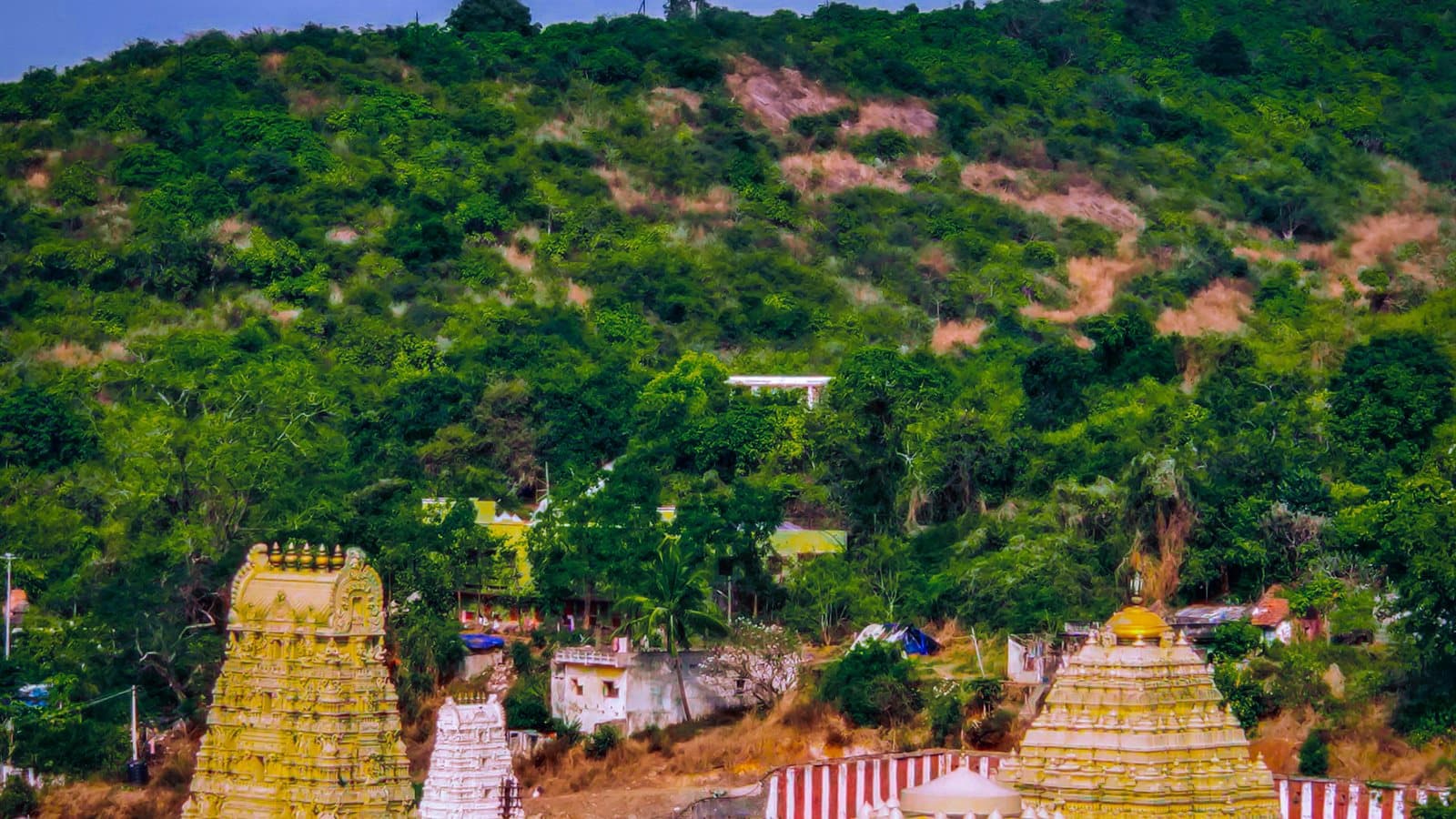 Simhachalam Temple